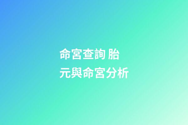 命宮查詢 胎元與命宮分析